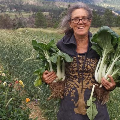 Patsyjean's gardens