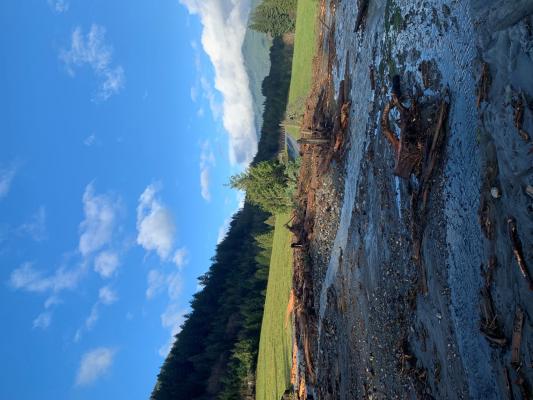 Washtock Family Farm